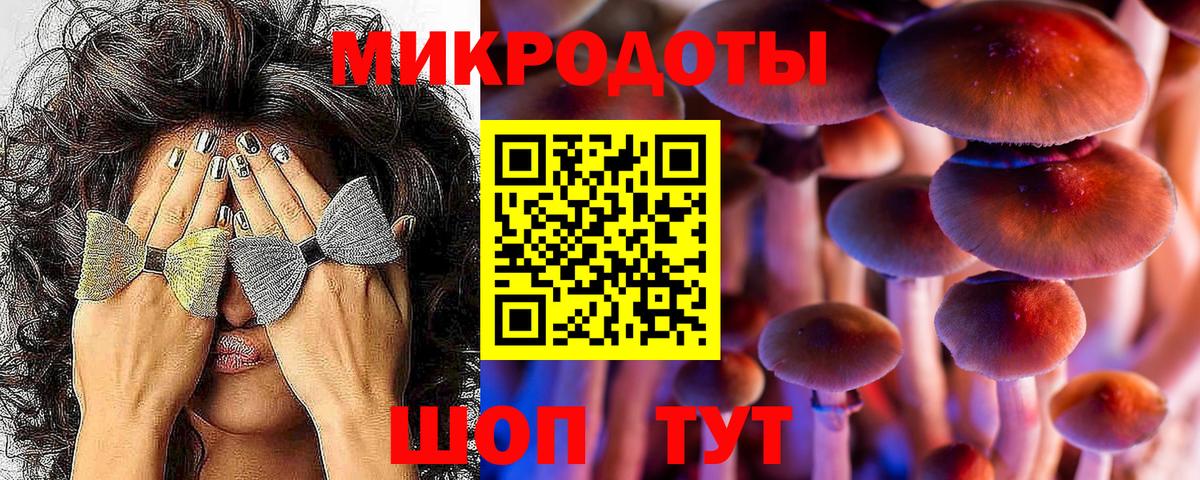 Галлюциногенные грибы GOLDEN TEACHER  Псилоцибиновые грибы мицелий  Красноярск  Вход с VPN 
